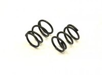 411218 Frontfeder 22lbs S120L
