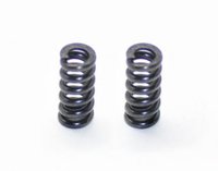500159 Slipper spring SRX2
