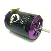 Trinty D3,5 / 3,5Turn Roar Spec. Modified Brushless