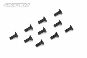 NBA280 CARTEN Schrauben FH M3x8mm (10)