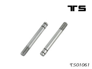 TS01061 - Piston rod