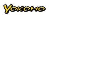YR-100 O RING