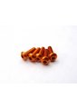 HS-69637 HIRO SEIKO ALLOY HEX SOCKET BUTTON HEAD SCREW M3X10 [ORANGE]