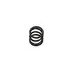 R807010 - Servo Saver Spring - ARC