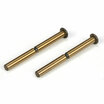 TLR6079 TLR Hinge Pin Set Vorne/Innen