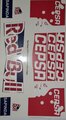 TR Serpent Wing / TR Serpent Front & Rear Wing Decal 1:10