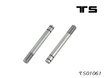 TS01061 - Piston rod