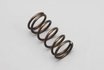 R12-18FSP Vorne Shock Spring